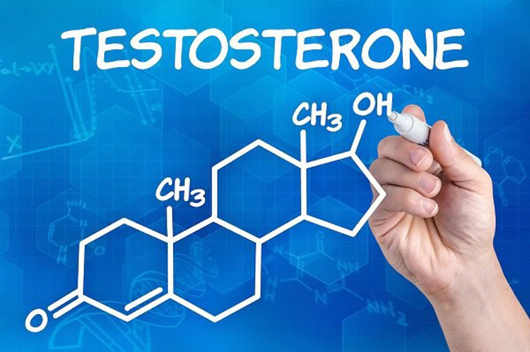 Giải mã Testosterone và cách bổ sung Testosterone an toàn, hiệu quả