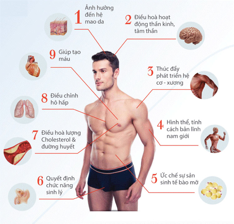 Vai trò của Testosterone đối với cơ thể nam giới