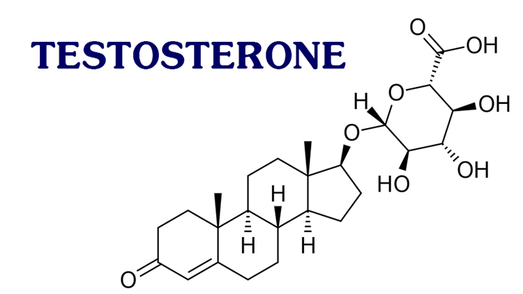 Nồng độ Testosterone suy giảm